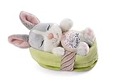 NICI Kuscheltier Hase grau 12 cm – Stofftier aus weichem Plüsch, niedliches Plüschtier im Körbchen zum Kuscheln und Spielen, für Kinder & Erwachsene, 48706, tolle Geschenkidee, hellgrau