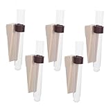 Abaodam 5 Stück Teiliges Wandhängendes Hydroponik Pflanzen Vermehrungsglas Testrohr Vase für Luftreinigung Elegante Wanddeko Pflegeleichte Wasserpflanzenhalterung für Wohnzimmer Büro