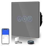 BSEED Dimmer Smart Alexa Lichtschalter 300W Touch Control WIFI Wandlichtschalter (Neutrale Leitung Erforderlich) mit Alexa/Tuya/Google Home 1 Fach 1 Weg Grau