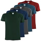 ALPIDEX Herren T-Shirts 5er Set mit V-Ausschnitt Shirts...