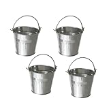 NUOBESTY 10 Stück Mini Zinkeimer aus Metall Kleine Dekorative Blech-Eimer Vielseitig als Blumentopf für Pommes Frites Geeignet mit Kleinem Griff und Wandhängemöglichkeit