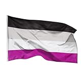 PHENO FLAGS Asexuelle Flagge - Asexuellefahne 90x150 cm mit Messing-Ösen - Wetterfeste Lgbtq Fahne für Fahnenmast - 100% Polyester