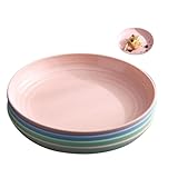 Shirene Plastikteller,4 Stück Plastikteller Mehrweg,7.8 Zoll Unzerbrechliches Camping Teller,Spülmaschinenfest,Leichte Picknick- und Campingteller für den Täglichen Gebrauch,Partys und Picknicks