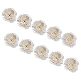 DEARMAMY 10 Stück Diffusor Düfte groß Bad Fälschung Dekorationen Blumen natürlich Wohnkultur Duftzerstäuber für zu Hause Blumen Duftblume Blumendekor