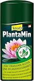 Tetra Pond PlantaMin Teichpflanzen-Dünger - für ein gesundes üppiges Pflanzenwachstum im Gartenteich, 500 ml