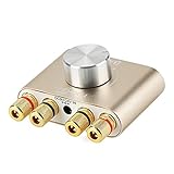 DollaTek TPA3110 30W * 2 Zwei-Kanal Mini-Stereo-Audio drahtlose Bluetooth-Verstärker Digital Signal Endstufe für Tablet PC Smartphone Laptops ect - Gold