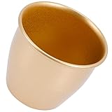 Toyvian Kleiner Metallblumentopf für Sukkulenten Eleganter Innenpflanzer Eisen Dekorativer Pflanzer für Kakteen und Kleine Pflanzen für Wohnräume und