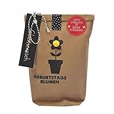 Wunderle WUN0212 Geburtstagsblumen-Handtasche, Braun, Unisex, Eimerförmig, Floral, Blumensaat zum Selbstpflanzen, für Geburtstag, Gartenfreunde, Geschenk