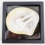 Kaviar Servierset – Kaviar Löffel – Perlmutt Löffel Set mit Geschenkbox Verpackung – Servieren von Kaviar Eier und Dessert