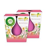 Air Wick Wohlfühl-Duftkerze DUO im Glas – Duft: Blumenwiese – Enthält natürliche ätherische Öle – 2 x Duftkerzenset in Braun