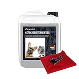 Tier-Geruchsentferner SET I Katzenurin & Hundeurin neutralisieren | Strenge Gerüche & Flecken aus Teppich, Sofa entfernen | Hergestellt in DE I 5 Liter