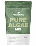 NatureHolic PureAlgae Mix | Algenpulver für Aquarien | Fischfutter & Garnelenfutter | Reich an Proteinen und Mineralstoffen | Spirulina, Chlorella, Schizochytrium, Ascophyllum | 50g