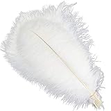 Sowder 5pcs Strauß-Federn 16-18inch (40-45cm) für Haupthochzeits-Dekoration(weiß)