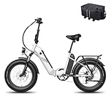 Fafrees E Bike 20 Zoll, Elektrofahrrad für Herren Damen mit 48V 20,8AH Akku, Klapprad Elektrofahrräder Reichweite 95-160KM, 65N.m Drehmoment, FF20 Polar (Schneeweiß)