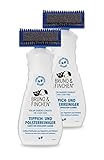 Bruno & Finchen Polster und Teppichreiniger 2x 650 ml entfernt Tierflecken & Gerüche - Polsterreiniger Mittel ideal für Hundekörbchen, Decken etc. - Sofareinigungsmittel, Teppich Reinigungsmittel