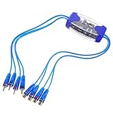 Housoutil Ground Loop Noise Isolator Auto Audio Filter Rauschunterdrücker Kompatibel mit Verschiedenen Fahrzeugmodellen Einfache Installation Geräuschfilter für Car Stereo Zubehör