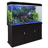 MonsterShop Aquarium Starter Komplettset Aquarium mit passendem Unterschrank Aquaristik Kies Aquarium-Hintergrund