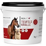 ReaVET Teufelskralle Pulver für Hunde & Pferde 1kg - Natürliches Gelenkpulver zur Unterstützung der Gelenke & Beweglichkeit I Ohne künstliche Zusätze aus Reiner Teufelskrallenwurzel