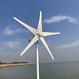 Genway 12V 24V Windkraftanlage 600W Windturbine Windgenerator mit MPPT Laderegler 5 Blätter Windrad Stromerzeugung für Heimat Marine Garten