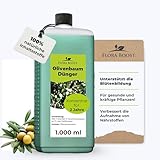 Flora Boost Olivenbaum Dünger Flora Boost 1000ml I Für bis zu 200L Gießwasser I Langzeitdünger für verbesserte Blütenbildung I Flüssiger Blatt- & Wurzeldünger I 100% natürlicher Pflanzendünger
