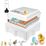 Automatische Brutmaschine für 24-36 Eier, Wenden, Befeuchtung, Eierprüfer, 4 Modi für Hühner, Enten, Gänse, Tauben