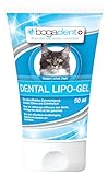 Bogadent Ubo0744 Dental Lipo-Gel Katze, 50 Ml
