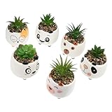 Yardenfun 6 Stück Teiliges Künstliche Sukkulenten Pflanzen Dekoration für Schreibtisch Pflegeleicht Kompakte für Innenräume Farbenfroh und Perfektes Accessoire für Raumgestaltung