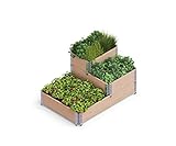 Upyard Stepped Bed - modernes Hochbeet aus Palettenrahmen - modulares, mehrstufiges Hochbeet aus Naturholz für Garten und Terrasse, 120x80x58,5, Braun