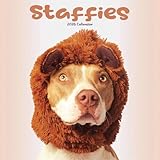 Staffies Kalender 2026