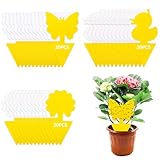 CIRULLI 60x Gelbsticker gegen Trauermücken - 3 Muster,Effektive gelbsticker zur Bekämpfung von Schädlingen in Zimmerpflanzen und Küchen, Pestizidfrei,Mückenfalle,Gelbtafeln gegen trauermücken
