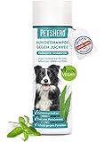 PetsHero® Hundeshampoo gegen Milben, Flöhe, Zecken & Parasiten - 250 ml - Parasiten Shampoo mit angenehmen Duft & optimal auf die Hundehaut angepasst - für Welpen geeignet - Dermatest Sehr gut