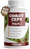 Cordyceps Kapseln 180x - 2100 mg Vitalpilz-Extrakt aus Cordyceps sinensis - hochwertiges Cordyceps-Extrakt (10:1) mit 40% bioaktiven Polysacchariden (840 mg pro Tag) - Vorrat für 60 Tage