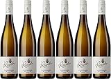 Rösch Grauburgunder 2024 Lieblich (6 x 0.75 l)