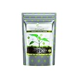 Organics Nutrients Siliziumpulver Si Star – Biologisches Pulver zur Stärkung von Pflanzen mit Silizium, Kalzium und Nährstoffen, für gesundes Wachstum und reichhaltige Ernte