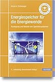 Energiespeicher für die Energiewende: Auslegung und Betrieb...