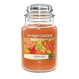 Yankee Candle Autumn Leaves Duftkerze, Glas, Orange, 10.7 cm