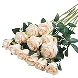 Künstliche Rosen 12 Stücke Kunstblumen Seidenblumen Rosen 51*7cm Künstliche Blumen Rosen Künstliche Blumen Realistische Einzelstielblumen für Hochzeitsfeier,Valentinstag,Zuhause Dekoration(Sekt)