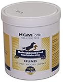 Gelenk-Booster für ältere Hunde/Teufelskralle+Grünlippmuschel-Mix / 500g / deutsches Produkt/empfohlen von Dr. med. Vet. Knoop/sehr hohe Akzeptanz + lecker/Alternative zu synthetischen Mitteln