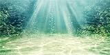 MIRRORANG 120x50cm Aquarium Hintergrund Wasserpflanze Blase...