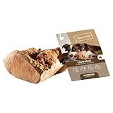 Chewies Kauwurzel für Hunde - Kauspielzeug aus Baumheide Wurzel - splitterfrei und 100% natürlich - für lang anhaltenden Kauspaß - Größe M