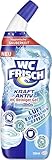 WC Frisch WC-Reiniger Gel Ozeanfrische (750 ml), WC-Reiniger mit Lufterfrischer-Effekt, Toilettenreiniger sorgt für hygienische Frische, mit 4-fach Aktivstoff-Kombination