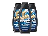 Schauma XTRA Anti-Schuppen Shampoo Intensiv (3x 400 ml), Haarshampoo bekämpft starke Schuppen ab der ersten Anwendung, Shampoo hilft bei juckender Kopfhaut