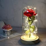 Dream Loom Die Schöne und die Biest Rose, Ewige Rose in Transparente Kuppel,Geschenk für Muttertag, Jubiläum, Geburtstag, Valentinstag, Zimmer Dekor