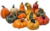 khevga Herbstdeko Zierkürbis – Deko-Kürbisse aus Terracotta im 12er Set, realistische Herbstdekoration für Tisch, Fensterbank, Garten und Wohnbereich