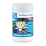 CleverAqua Fadenalgenvernichter mit Aktivsauerstoff effektives Algenmittel gegen Fadenalgen im Teich (1000g)