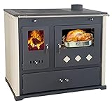 EEK A+ Kaminofen mit Backfach und Herdplatte Practik Lux Holzofen 9,5 kW Kamin Ofen Dauerbrandofen Werkstattofen Schwedenofen Hüttenofen Heizofen