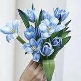 7 Pcs Tulpenzwiebeln Kaufen - Tulipa Gesneriana - Tulpen Zwiebeln, Blumenzwiebel, Balkonpflanzen Tulpenzwiebel, Blumenzwiebeln Tulpen, Frühlingsblüher Zwiebeln, Seltene Pflanzen Winterharte