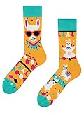 Dedoles Socken Unisex Damen Herren & Kinder Baumwolle viele lustige Designs 1 Paar Geschenk links rechts verschieden, Farbe Gelb, Motiv Cooles Lama, Gr. 39-42