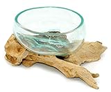 Wurzel mit Glasschale klein Schale Dekoschale Glas auf Holz Durchmesser 12-13 cm Holzdeko Teakholz Deko (Wurzel 16-20 cm)
