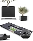 Pflanzwerk Pflanzkübel Untersetzer - Ultraflacher Designer Pflanzenroller - 80 x 28cm - Eckig und rund für alle Blumentöpfe & Blumenkübel - Indoor & Outdoor Gefäßroller - 2 Jahre Garantie